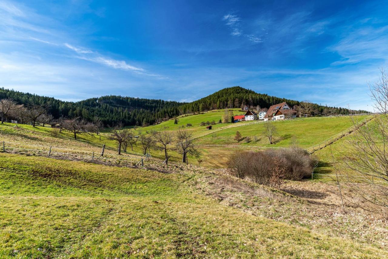 Schwarzwald Woelkchen Lägenhet Baiersbronn Exteriör bild